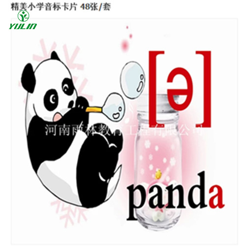 浙江音标卡片