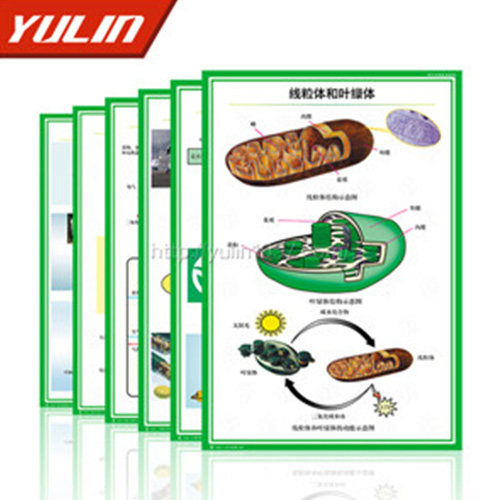 浙江病虫害防治挂图