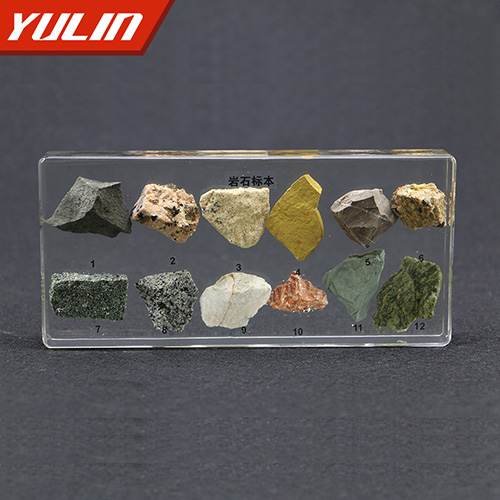 浙江岩石包埋标本