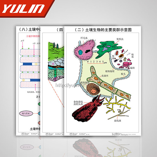 浙江土壤肥料挂图