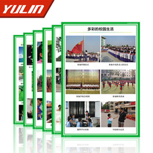 浙江小学品德与社会挂图