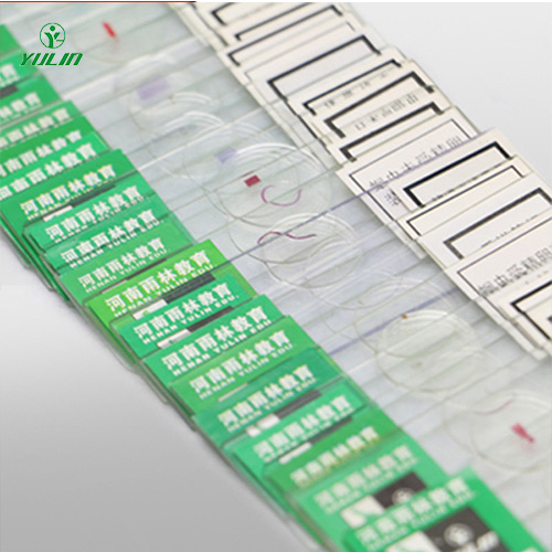 浙江中药干制标本